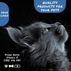 Pet Cat Care Dandruff