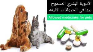 No Categories أدوية الحيوانات الأليفة-اشترِ عبر الإنترنت ووفر