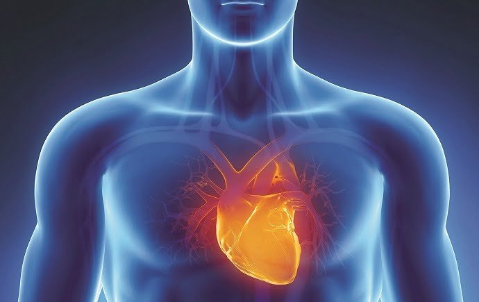 اسباب ظهور مرض القلب