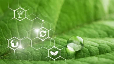 الكيمياء الخضراء-المستقبل المستدام