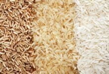 رحلة مدهشة في عالم الأرز-استكشاف أنواعه المتنوعة وأهميتها