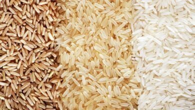 رحلة مدهشة في عالم الأرز-استكشاف أنواعه المتنوعة وأهميتها