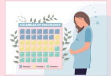 معلومات مهمه في الشهر التاسع من الحمل