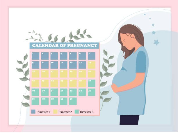 معلومات مهمه في الشهر التاسع من الحمل